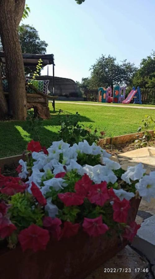 Irini's Holiday home Gouvia